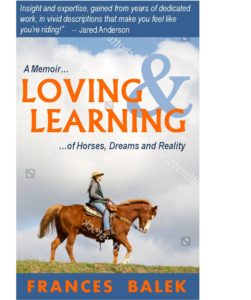 DRAFT Loving & Learning book cover